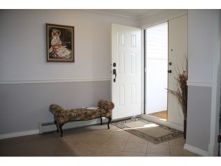 Photo 2: # 7 3632 BULKLEY ST in Abbotsford: Abbotsford East Condo for sale : MLS®# F1442106