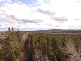 Photo 6: 42.5 acres Hardwood Hill Road in Hardwood Hill: 108-Rural Pictou County Vacant Land for sale (Northern Region)  : MLS®# 202308578