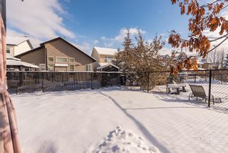 Photo 41: 109 Cougarstone Manor SW in Calgary: Cougar Ridge Detached for sale : MLS®# A2022531