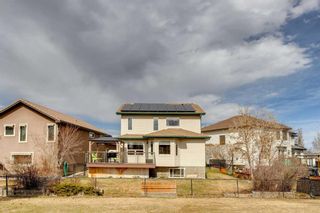 Photo 44: 238 Douglas Ridge Place SE in Calgary: Douglasdale/Glen Detached for sale : MLS®# A2090819