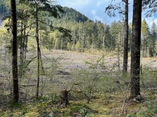 Photo 5: 25685 TRANS CANADA Highway in Hope: Yale – Dogwood Valley Land for sale (Fraser Canyon)  : MLS®# R2872841