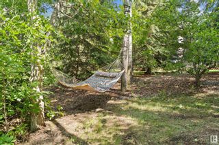 Photo 45: 44 53504 RGE RD 274: Rural Parkland County House for sale : MLS®# E4372810