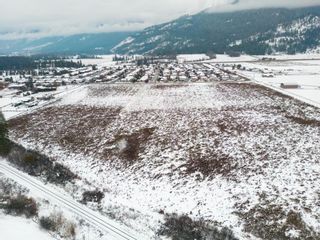 Photo 3: 2049 Okanagan Street, in Armstrong: Agriculture for sale : MLS®# 10265439