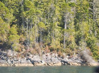 Photo 5: SL41 Hot Springs Oceanside in Tofino: PA Tofino Land for sale (Port Alberni)  : MLS®# 913976