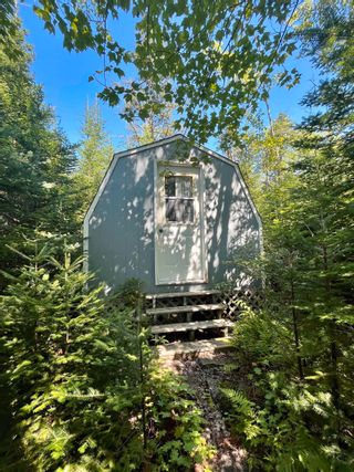 Photo 16: 3830 Sonora Road in Sherbrooke: 303-Guysborough County Residential for sale (Highland Region)  : MLS®# 202220841