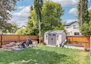 Photo 17: 204 Mt Apex Green SE in Calgary: McKenzie Lake Detached for sale : MLS®# A1228448