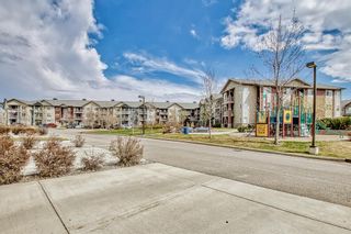 Photo 42: 1310 2370 Bayside Road SW: Airdrie Apartment for sale : MLS®# A2047981