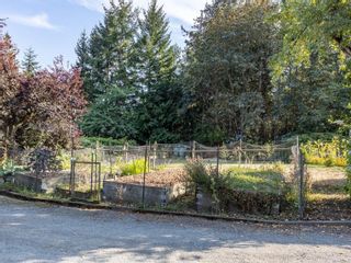 Photo 71: 7219 East Saanich Rd in Central Saanich: CS Saanichton House for sale : MLS®# 923045