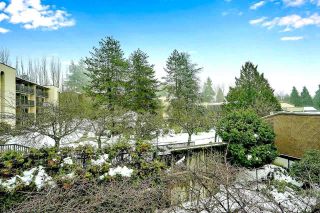 Photo 21: 509 9857 MANCHESTER Drive in Burnaby: Cariboo Condo for sale in "BARCLAY WOODS" (Burnaby North)  : MLS®# R2845746