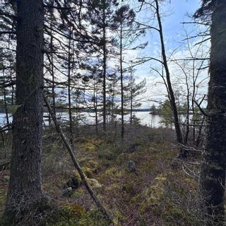 Photo 16: Lot 38 Sand Cove Road in Westfield: 406-Queens County Vacant Land for sale (South Shore)  : MLS®# 202404708