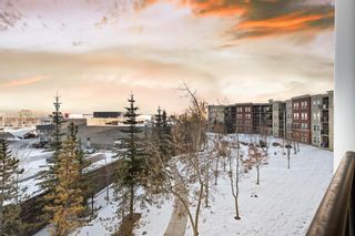 Photo 23: 3310 11811 Lake Fraser Drive SE in Calgary: Lake Bonavista Apartment for sale : MLS®# A2019220
