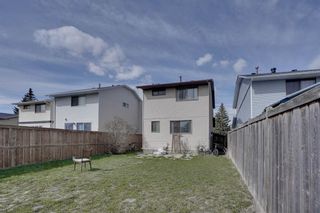 Photo 30: 192 Castlegreen Close NE in Calgary: Castleridge Detached for sale : MLS®# A2126596