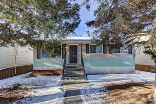 Photo 19: 2115 Mackay Road NW in Calgary: Montgomery Detached for sale : MLS®# A2017111
