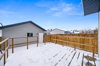Photo 35: 335 Elgin Place SE in Calgary: McKenzie Towne Semi Detached (Half Duplex) for sale : MLS®# A2022749