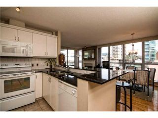 Photo 5: # 303 108 E 14TH ST in North Vancouver: Central Lonsdale Condo for sale : MLS®# V1122218