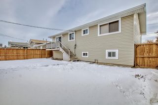 Photo 41: 28 Penworth Crescent SE in Calgary: Penbrooke Meadows Detached for sale : MLS®# A2016281