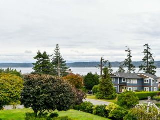 Photo 53: 456 Ash St in CAMPBELL RIVER: CR Campbell River Central House for sale (Campbell River)  : MLS®# 824795