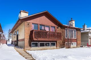 Photo 2: 169 CASTLEBROOK Way NE in Calgary: Castleridge Semi Detached (Half Duplex) for sale : MLS®# A2032790