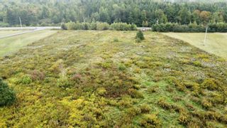 Photo 5: Lot 01-02 Hamilton Road in Union Centre: 108-Rural Pictou County Vacant Land for sale (Northern Region)  : MLS®# 202222874