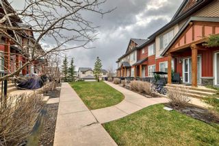 Photo 42: 65 Skyview Springs Circle NE in Calgary: Skyview Ranch Row/Townhouse for sale : MLS®# A2129104