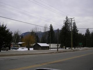 Photo 1: 1237 Tunney Avenue in Sicamous: Home for sale : MLS®# 10000967