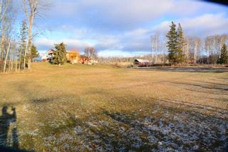 Photo 20: 1530 BILLETER Road in Smithers: Smithers - Rural House for sale in "DRIFTWOOD" (Smithers And Area (Zone 54))  : MLS®# R2328657