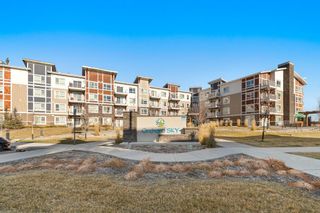 Photo 28: 5110 302 Skyview Ranch Drive NE in Calgary: Skyview Ranch Apartment for sale : MLS®# A1161247