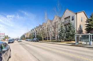 Photo 18: 206 15304 BANNISTER Road SE in Calgary: Midnapore Apartment for sale : MLS®# A2128358