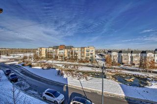 Photo 34: 310 38 Quarry Gate SE in Calgary: Douglasdale/Glen Apartment for sale : MLS®# A2089457