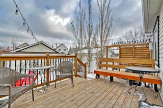 Photo 46: 6 inverness Park in Calgary: McKenzie Towne Detached for sale : MLS®# A2024450