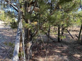 Photo 8: Lot B LONE BUTTE HORSE LAKE ROAD in 100 Mile House: Vacant Land for sale : MLS®# R2870362