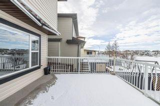Photo 42: 15 Martha’s Way NE in Calgary: Martindale Detached for sale : MLS®# A1186356