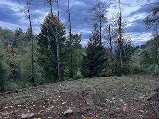 Photo 6: 48875 ELK VIEW ROAD in Chilliwack: Vacant Land for sale : MLS®# R2875218