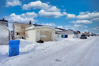 Photo 41: 138 Martindale Drive NE in Calgary: Martindale Detached for sale : MLS®# A2035787