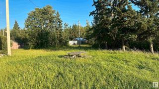 Photo 10: 59314 RR 234 NW: Rural Westlock County Cottage for sale : MLS®# E4353033
