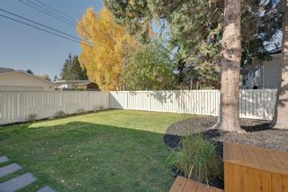 Photo 50: 10815 Maplecreek Drive SE in Calgary: Maple Ridge Detached for sale : MLS®# A1038611