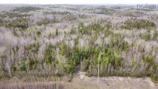 Photo 4: Lot 2 Little Egypt Road in Little Harbour: 108-Rural Pictou County Vacant Land for sale (Northern Region)  : MLS®# 202304739