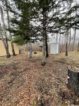 Photo 18: 10 George Avenue in Clemenceau: Lot/Land for sale : MLS®# SK929802