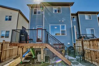 Photo 46: 723 Walden Drive SE in Calgary: Walden Semi Detached (Half Duplex) for sale : MLS®# A2038003