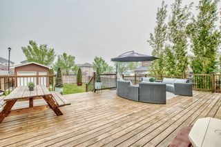 Photo 43: 100 WEST CREEK Green: Chestermere Detached for sale : MLS®# A2050657