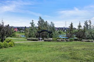 Photo 44: 8 Evansdale Way NW in Calgary: Evanston Detached for sale : MLS®# A2022181