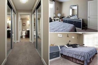 Photo 16: 3407 155 Skyview Ranch Way NE in Calgary: Skyview Ranch Apartment for sale : MLS®# A2074438