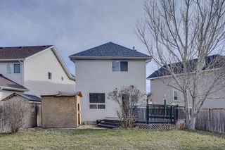 Photo 33: 117 Coral Springs Mews NE in Calgary: Coral Springs Detached for sale : MLS®# A2121614