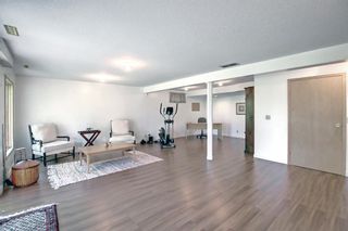 Photo 46: 99 Hawkley Valley Road NW in Calgary: Hawkwood Detached for sale : MLS®# A1232781