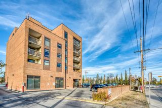 Photo 29: 215 8604 48 Avenue NW in Calgary: Bowness Apartment for sale : MLS®# A2042174