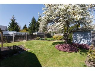 Photo 19: 1222 Alan Rd in VICTORIA: SW Layritz House for sale (Saanich West)  : MLS®# 637712