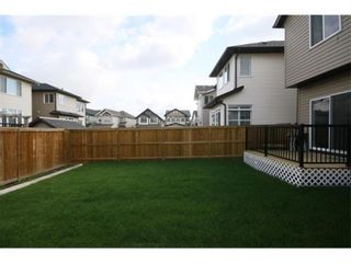 Photo 31: 249 Skyview Shores Manor NE in Calgary: Skyview Ranch Detached for sale : MLS®# A1040770