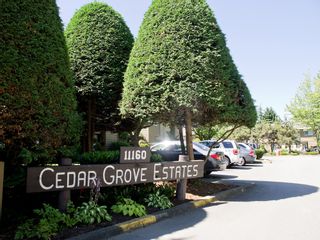 Photo 1: 39 11160 KINGSGROVE AVENUE in Cedar Grove Estates: Ironwood Townhouse for sale ()  : MLS®# R2004028