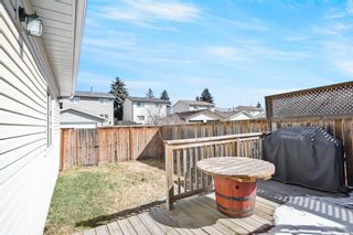 Photo 32: 19 Erin Park Bay SE in Calgary: Erin Woods Detached for sale : MLS®# A2125243