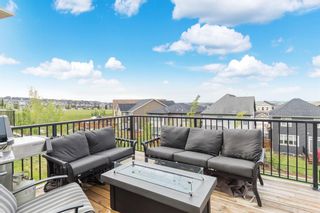 Photo 34: 260 Nolancrest Heights NW in Calgary: Nolan Hill Detached for sale : MLS®# A1117990